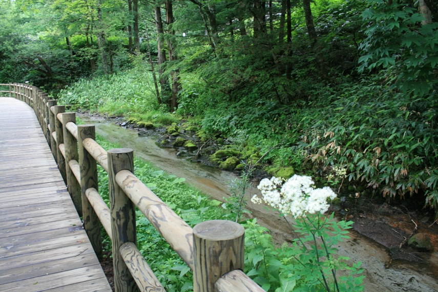 大正池〜河童橋〜明神池005