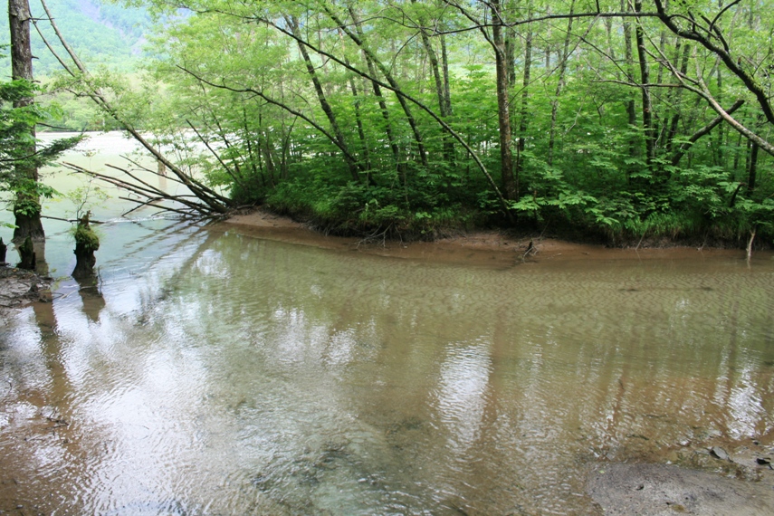 大正池〜河童橋〜明神池006