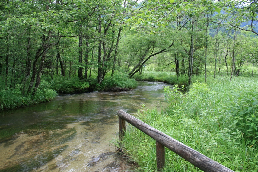 大正池〜河童橋〜明神池010