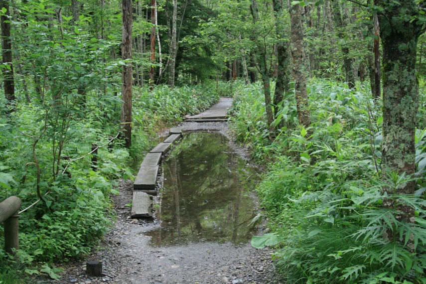大正池〜河童橋〜明神池013