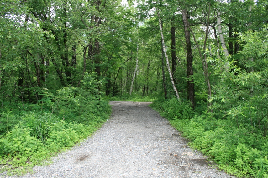 大正池〜河童橋〜明神池018