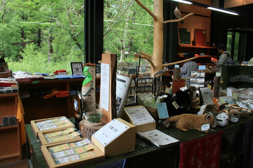 大正池〜河童橋〜明神池025