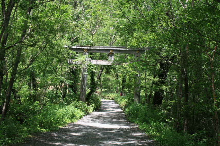 大正池〜河童橋〜明神池037