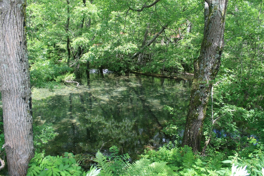 大正池〜河童橋〜明神池038