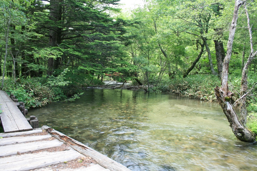 大正池〜河童橋〜明神池045