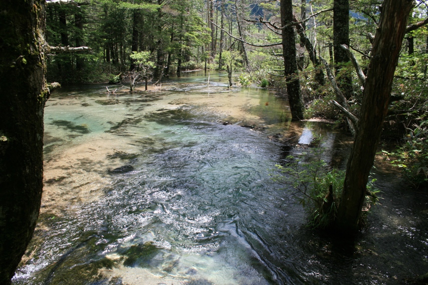 大正池〜河童橋〜明神池049