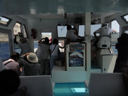 日陰が好みの日本人