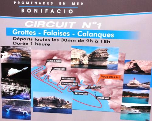 クルーズルート