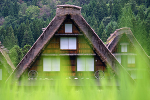 緑の炎に包まれた!?