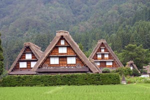 夜はホタルが沢山