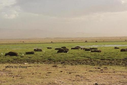 現在の湿原周辺