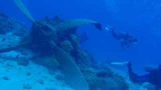 サイパンダイビング