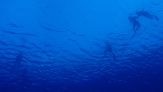 サイパンダイビング