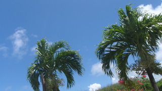 サイパンダイビング