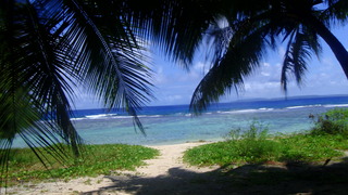 サイパンダイビング