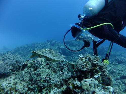 カメとこんなに近く♪