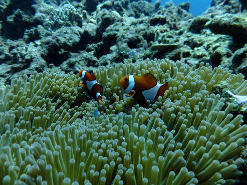 気持ちよさそう