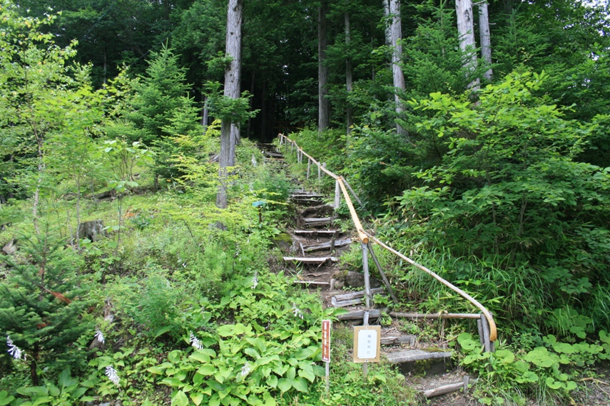 日本で唯一「縁結」の名を持つ神社026