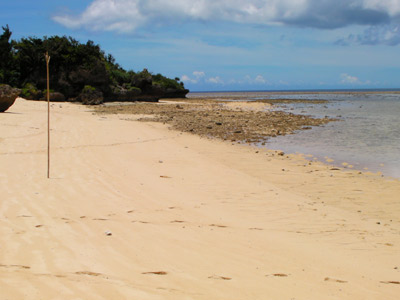 水曜どうでしょう