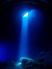 サイパンダイビング