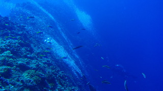 サイパンダイビング