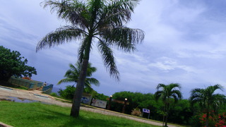 サイパンダイビング