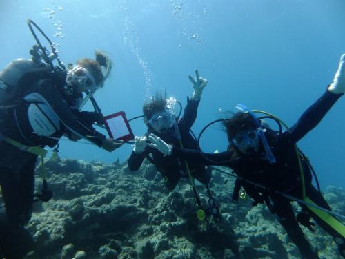 認定おめでとう