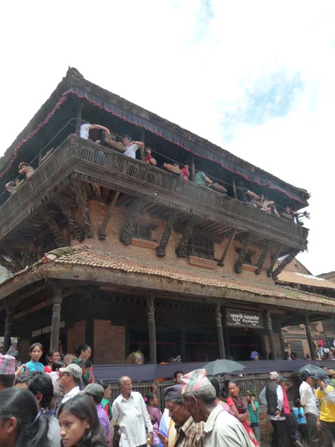 Gai Jatra 8