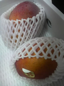 アップルマンゴー1