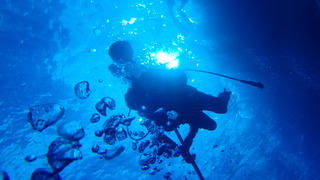 サイパンダイビング