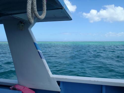 ボートダイビング☆