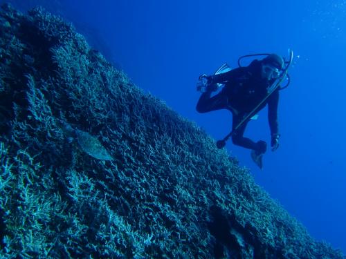 ダイバーも浮遊中