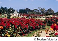 花を楽しむイベントやスポットご紹介2