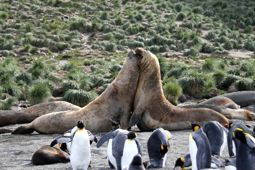 ゴールドベイ02