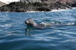 サウスオックニー・イメージ