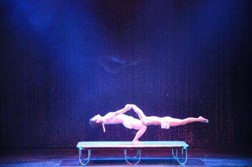 パワーパフォーマンス7