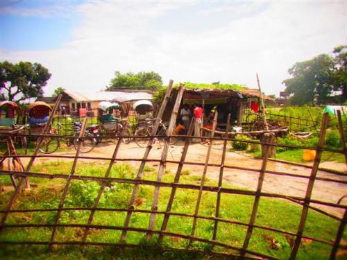 りきしゃーのしゃこ