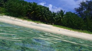 サイパンダイビング