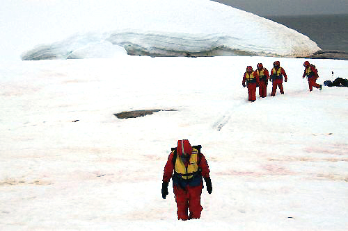 ポータルポイント 上陸