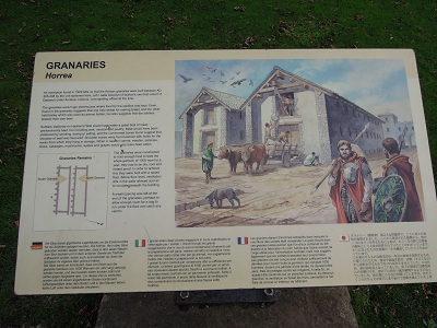 小麦貯蔵庫の再現図