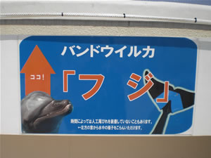 美ら海水族館・イルカラグーン1