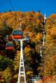定山渓・紅葉ゴンドラ