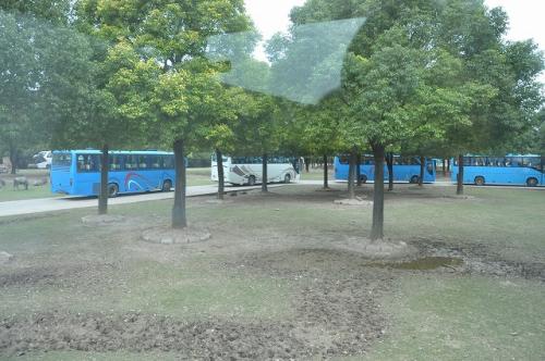 上海野生動物園２