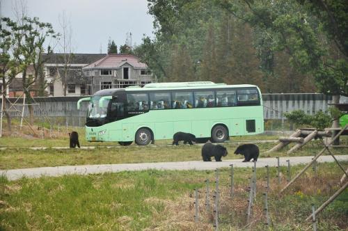上海野生動物園９