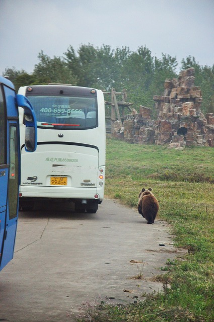 上海野生動物園１０