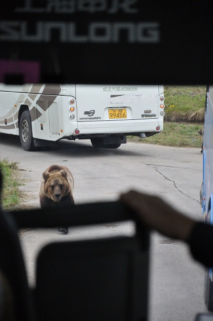 上海野生動物園１２