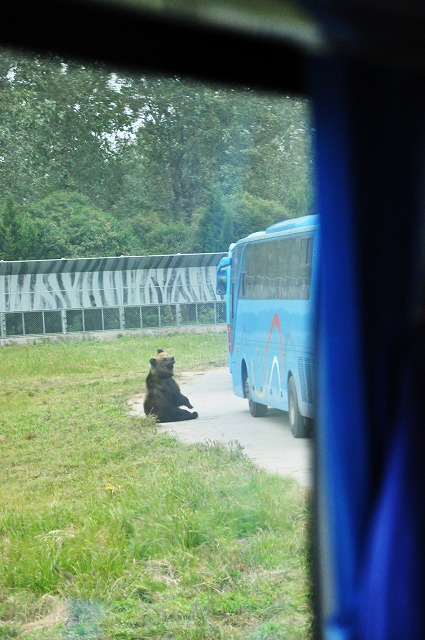 上海野生動物園１５