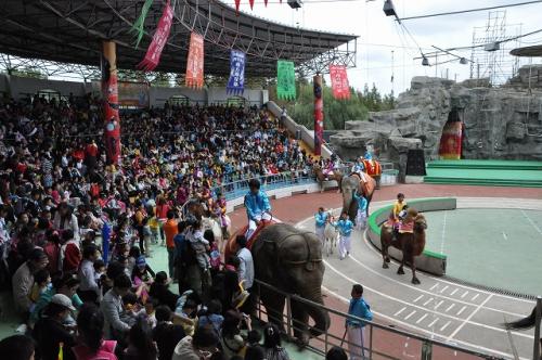 上海野生動物園２１