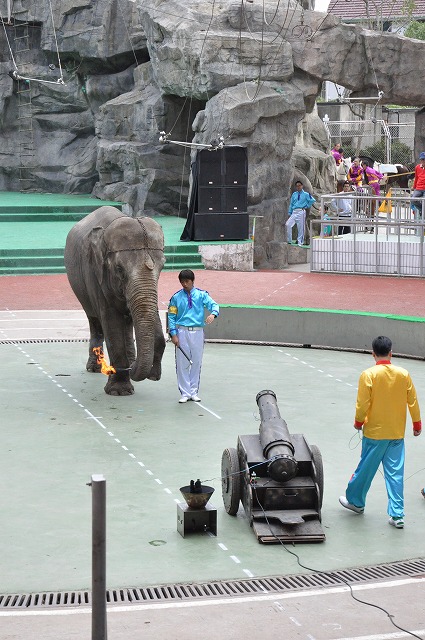 上海野生動物園２２