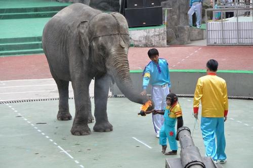 上海野生動物園２３